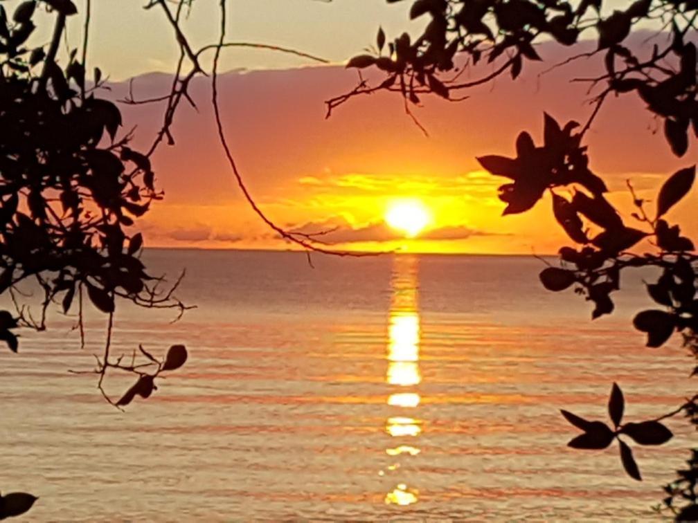 Beya Suites Punta Gorda Zewnętrze zdjęcie